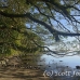 beach_walindi_kb_h_0194_png0238.jpg